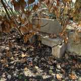 ...le panchine...